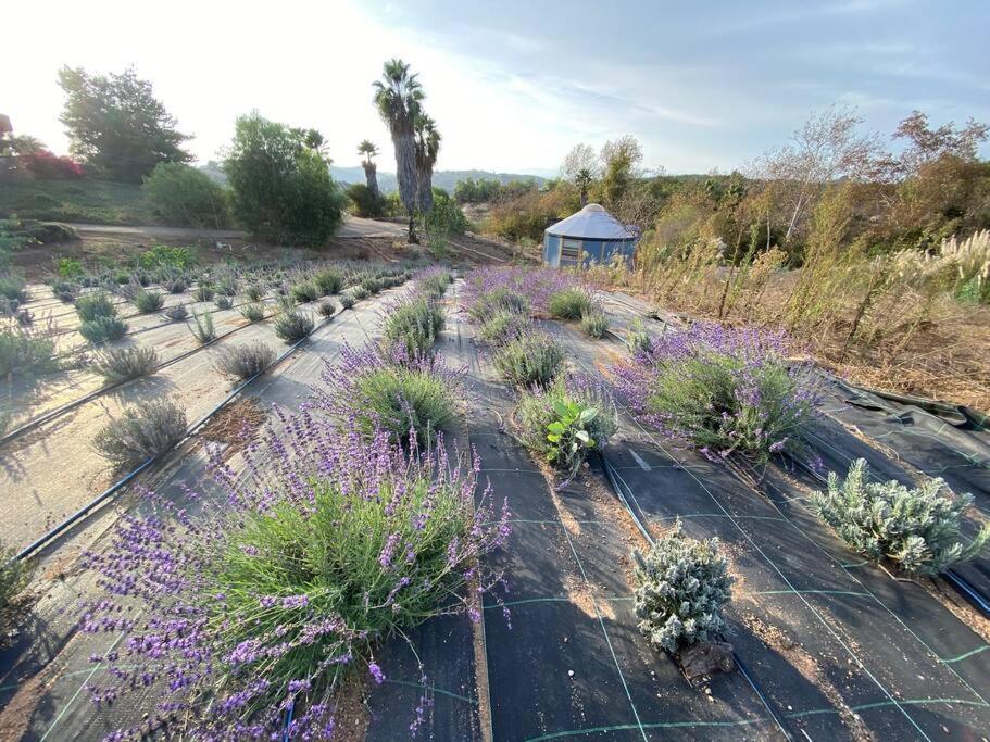 Valley Center Glamping-Sky Dome Yurt-Tiny House-2 By Lavenders Fieldヴィラ エクステリア 写真